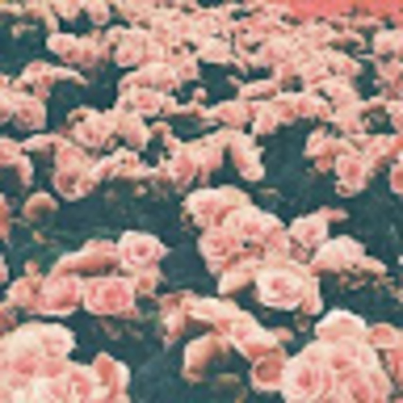 dani_may1